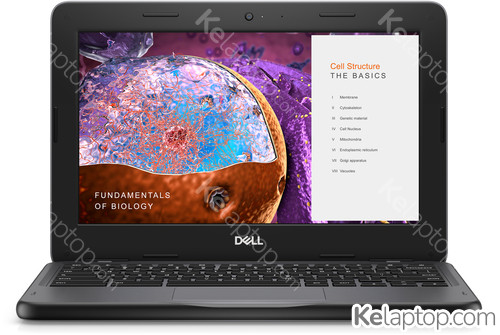DELL Chromebook 3110 2-in-1 DYMW4