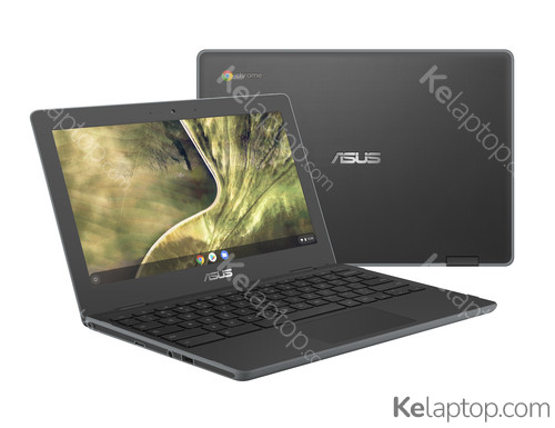 ASUS Chromebook C204MA-GJ0203