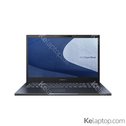 ASUS ExpertBook B2502CBA-XS74
