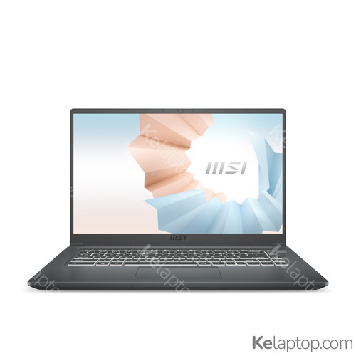 MSI Modern 15 A5M-221