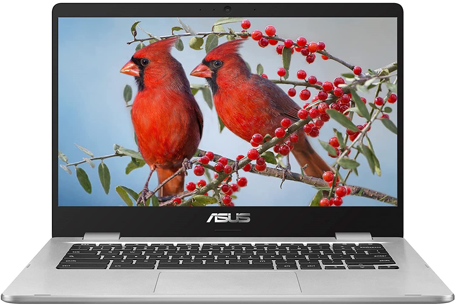 ASUS Chromebook C424