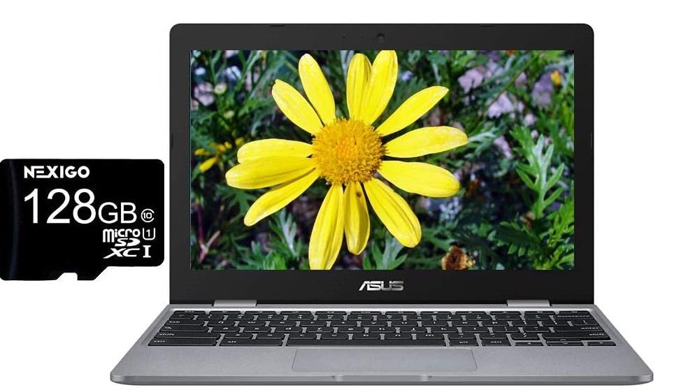 ASUS Chromebook C223