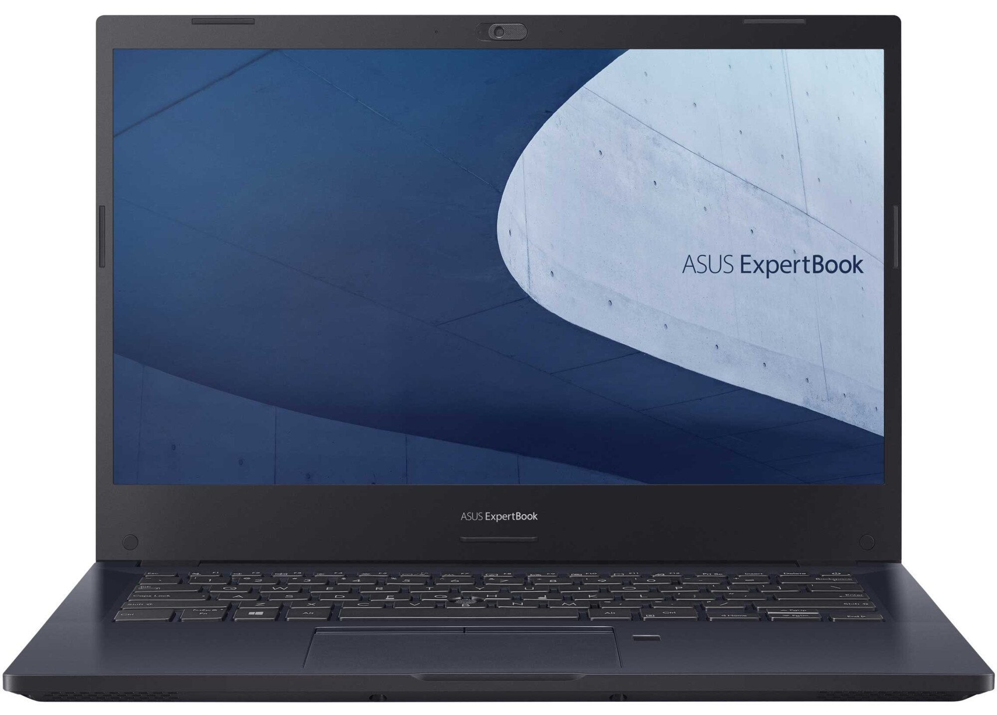 ASUS ExpertBook P2 P2451FA-Q31P-CB