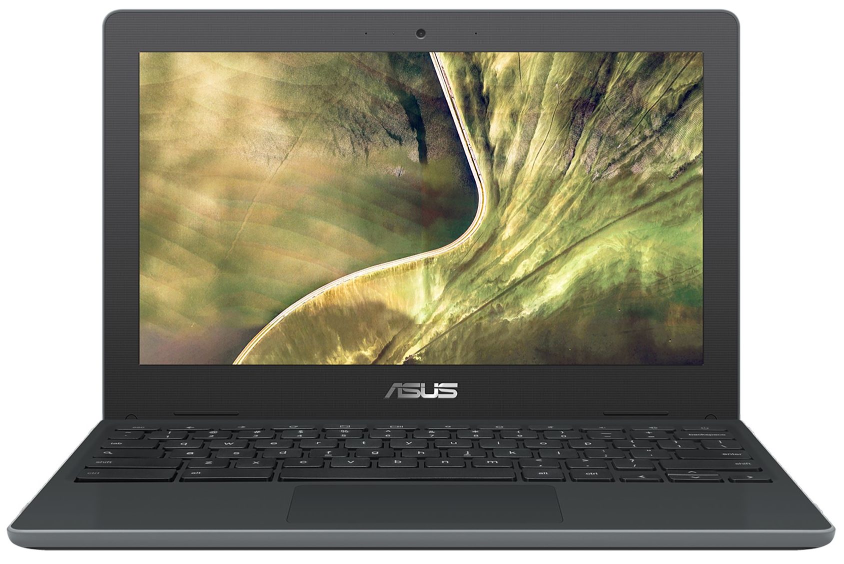 ASUS Chromebook C204