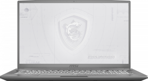 MSI WF75 10TJ-209ES