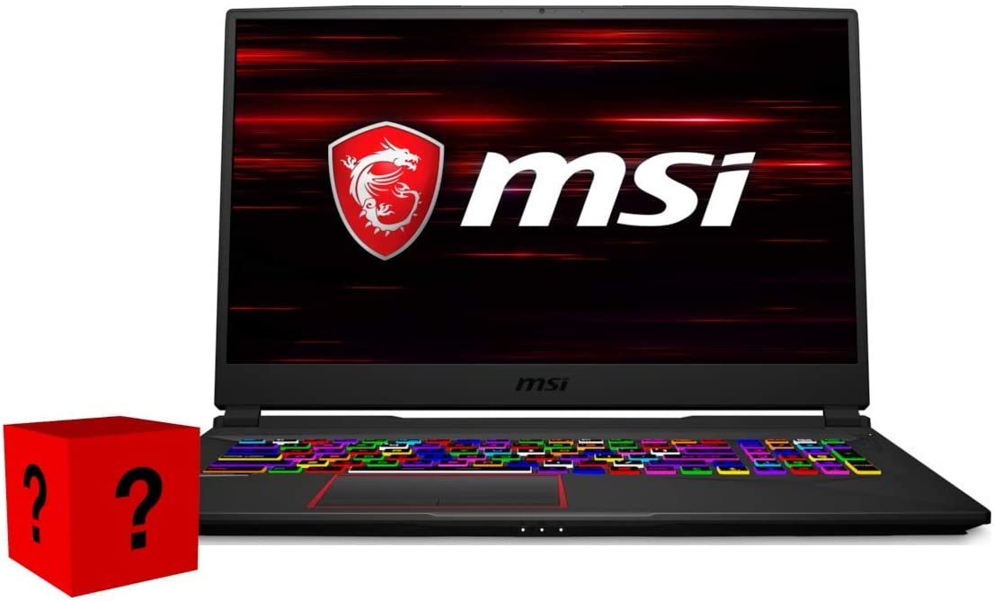 MSI GE75 Raider 10SFS-225