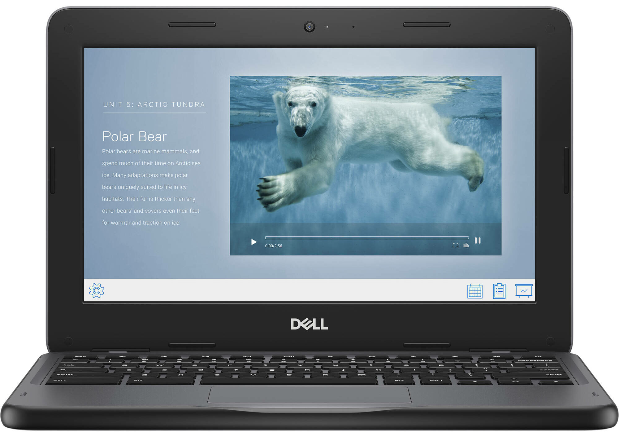 Dell Chromebook 3110